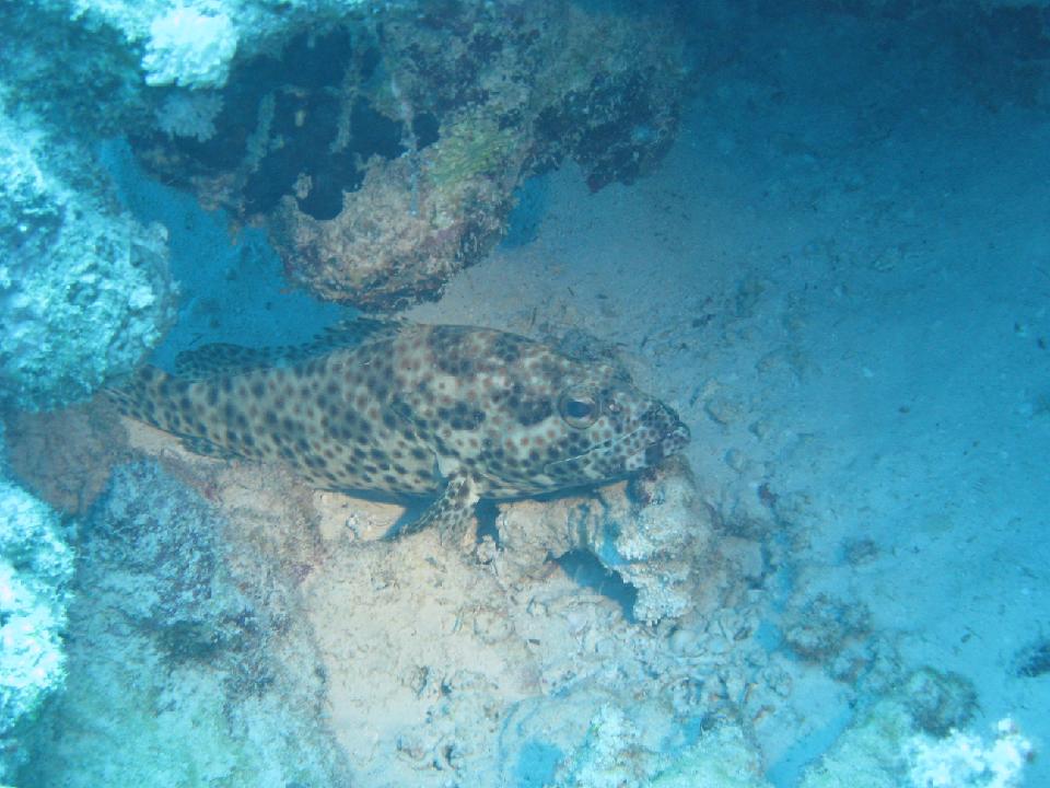 2012_02_16 rotes meer 069.jpg